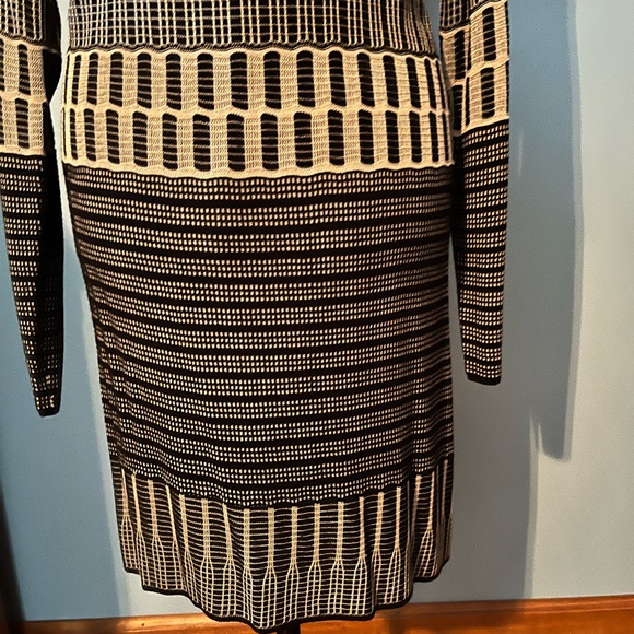 MSSP Max Studio Black & Tan Striped Dress, Long Sleeve, Size Large, NWT - Picture 7 of 7